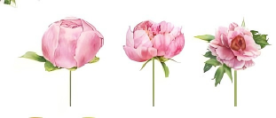 Flower Paper Cake Topper for Tea Party