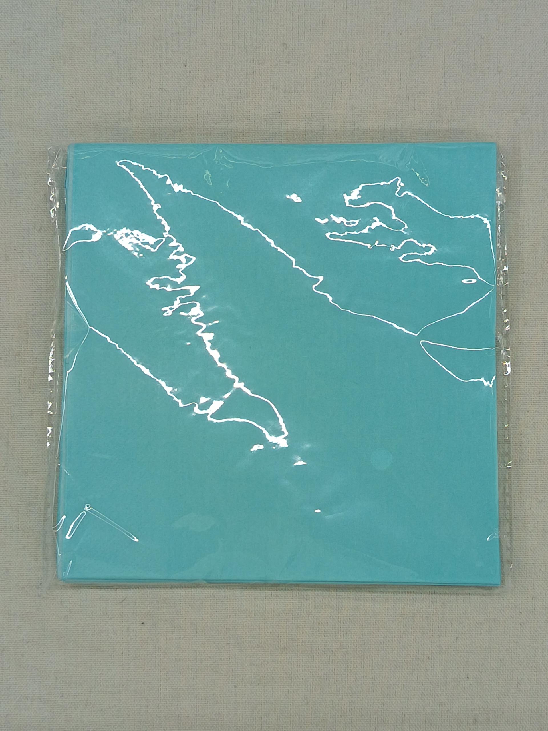 Solid Color Paper Plate for Birthday Party