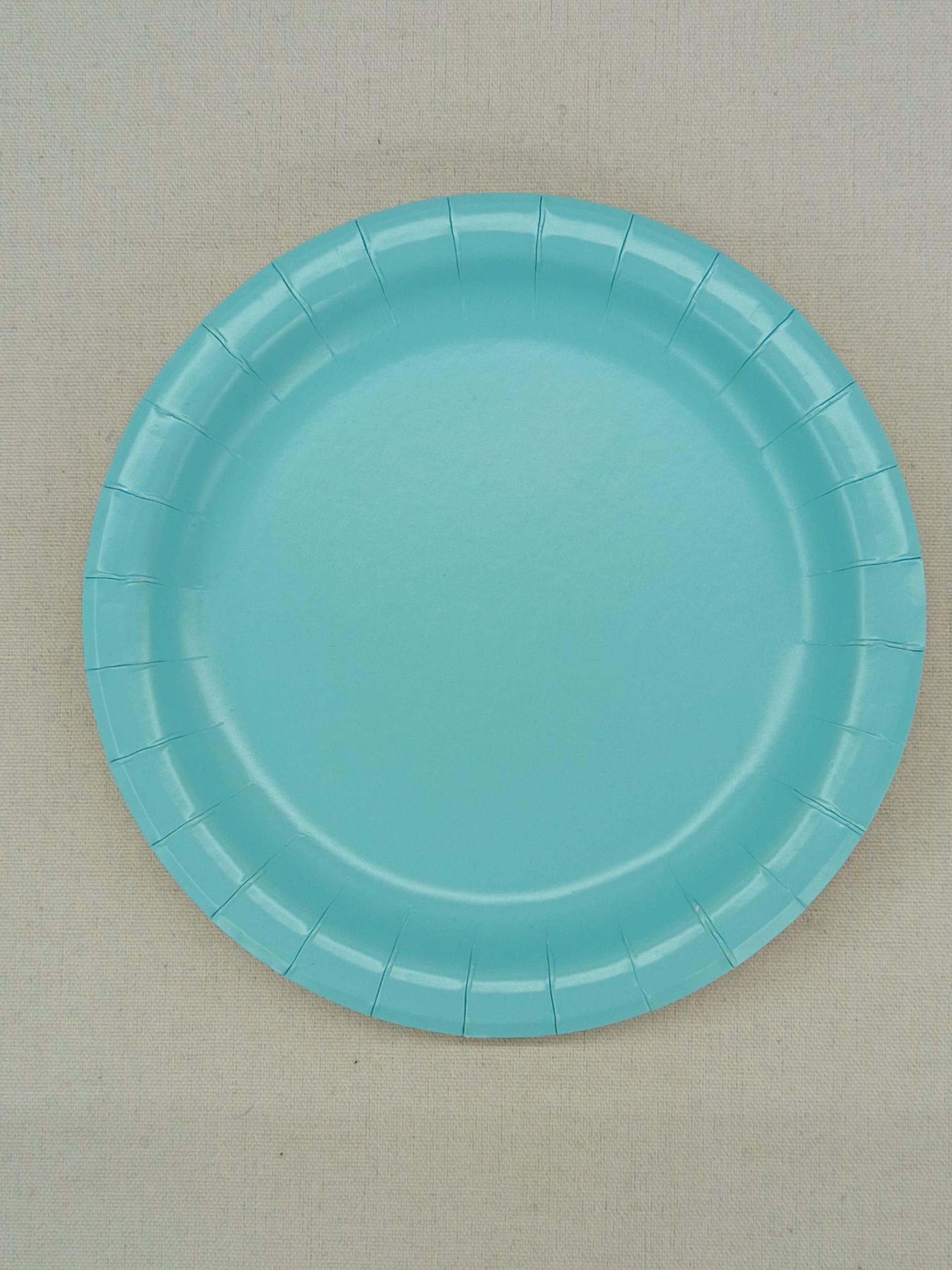 Solid Color Paper Plate for Birthday Party
