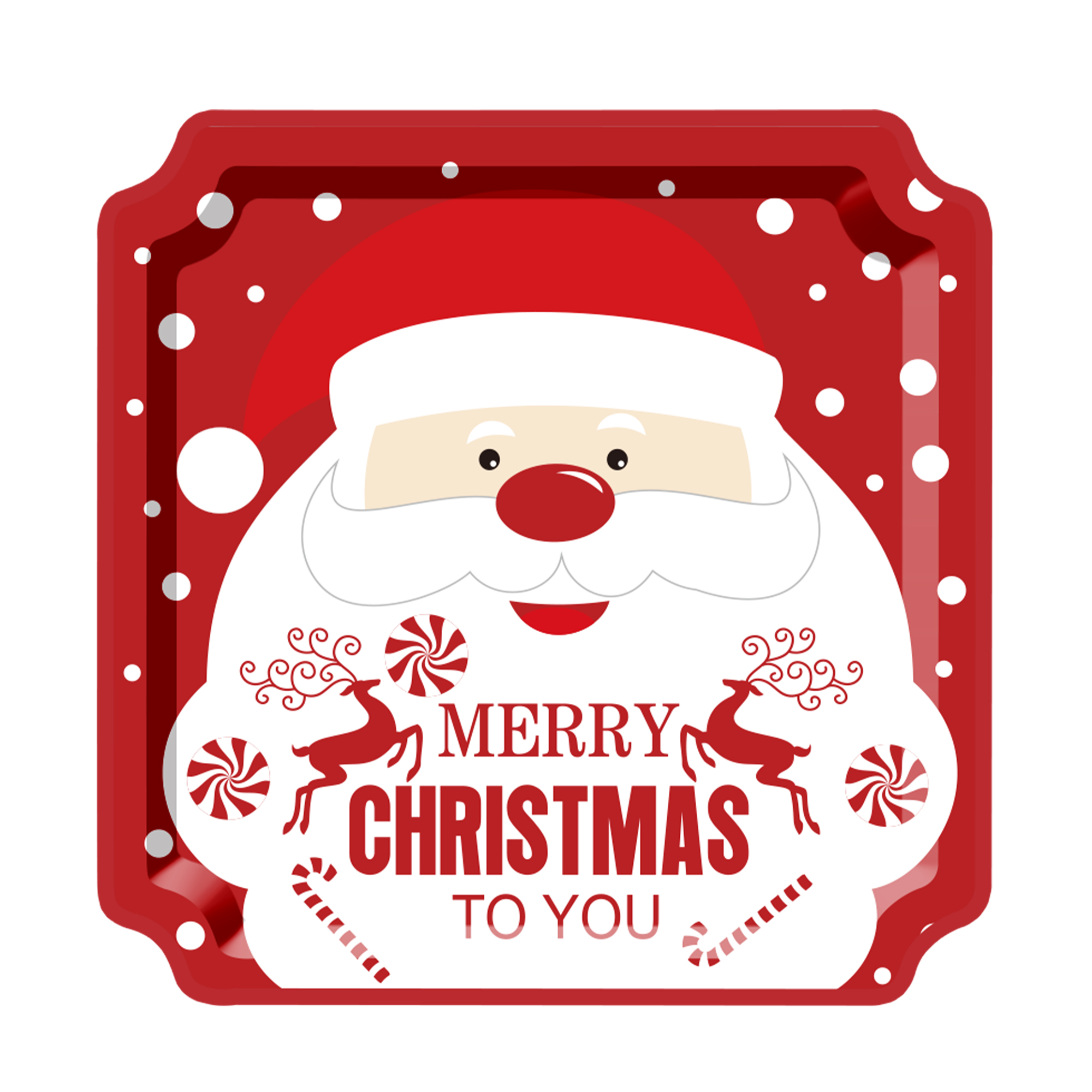 Christmas Theme Father Christmas Dinner Plate