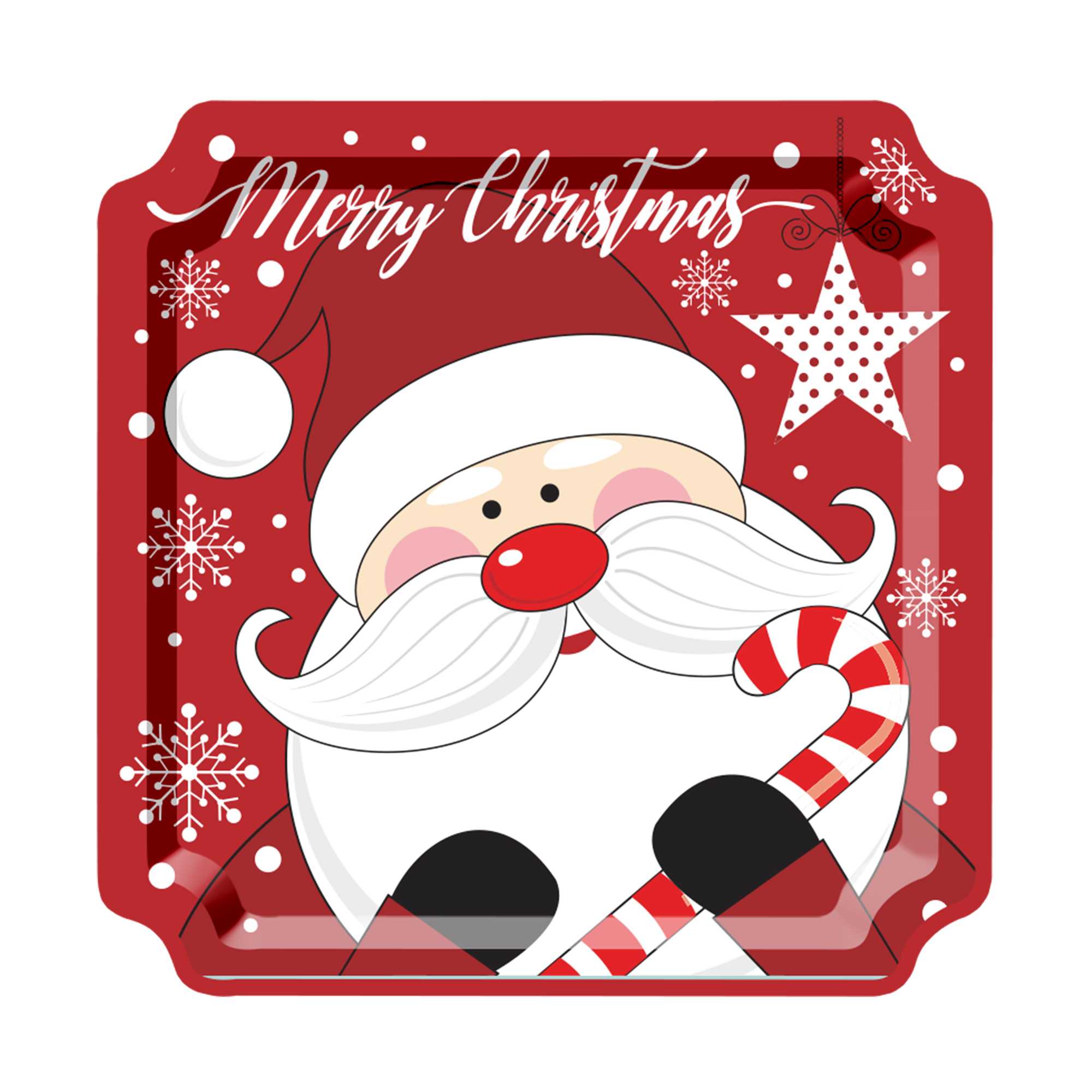 Christmas Theme Father Christmas Dinner Plate