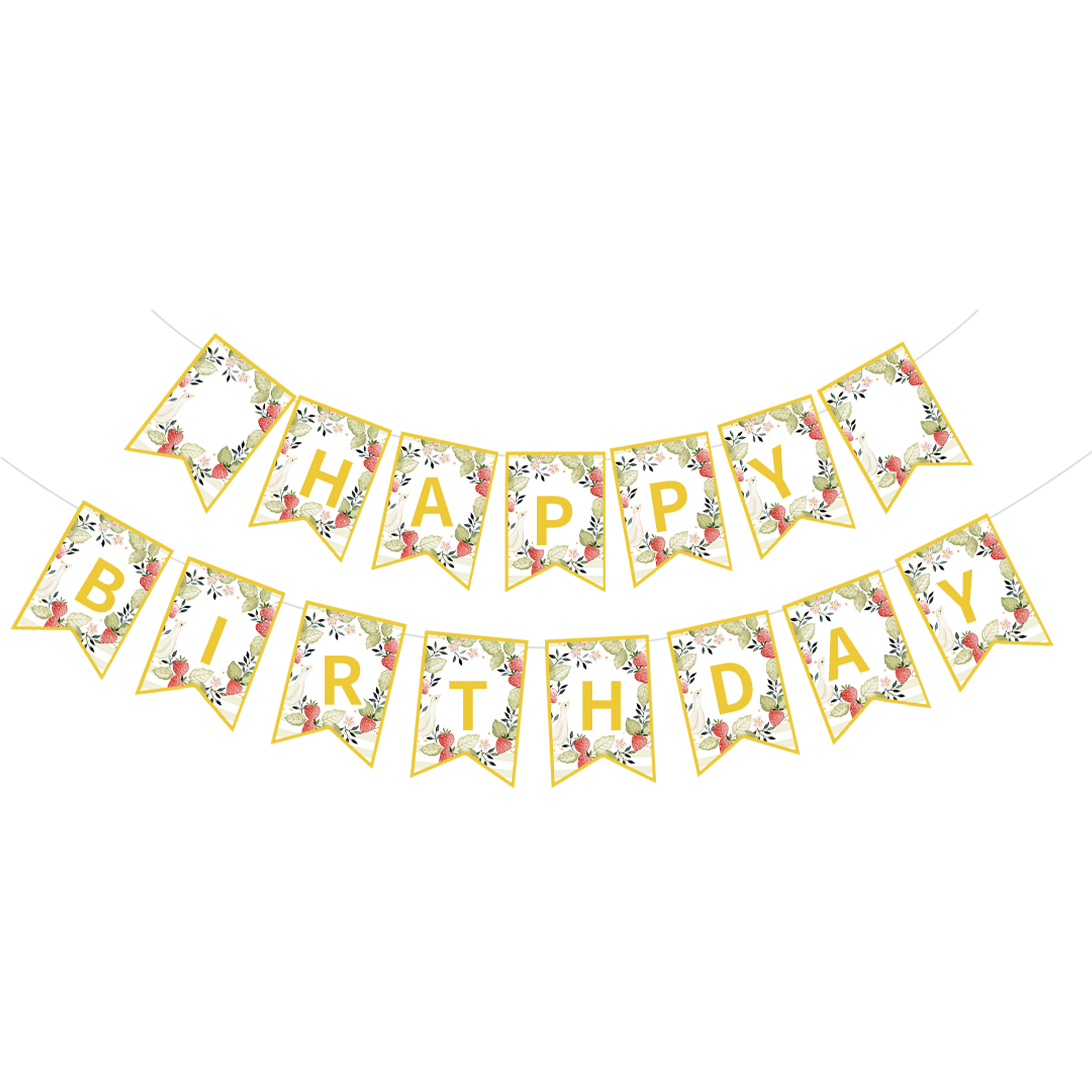 Fruit Theme Happy Birthday Paper Banner