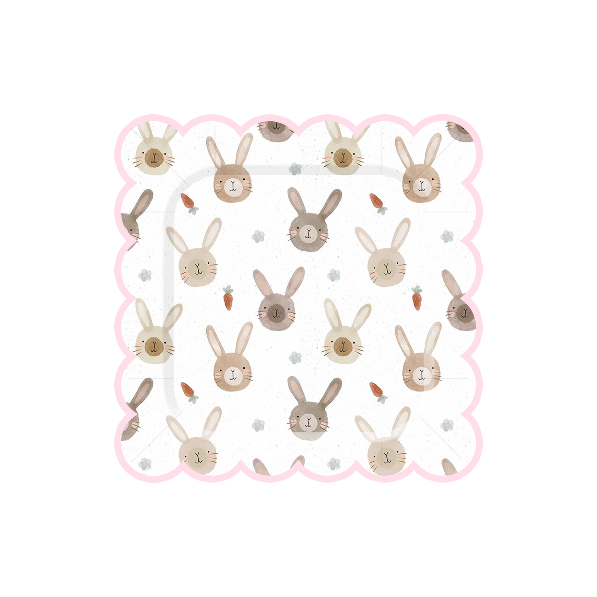Animal Theme Square Lace Shape Dinner Plate